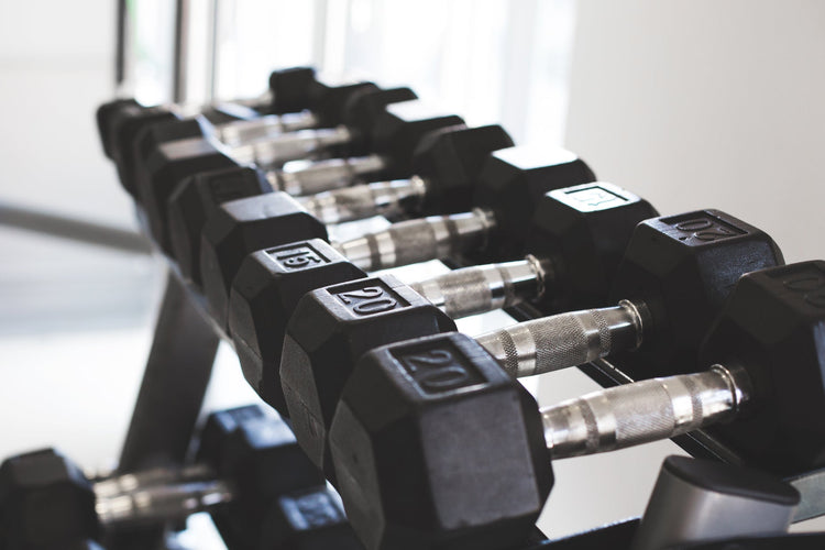 Fitness equipment, dumbbells on a rack