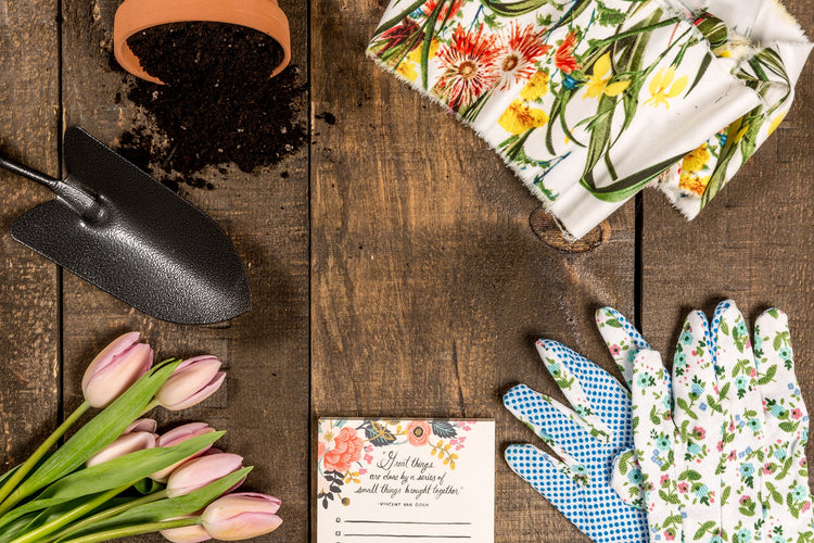 Gardening tools, including a shovel, gloves, and planter pot