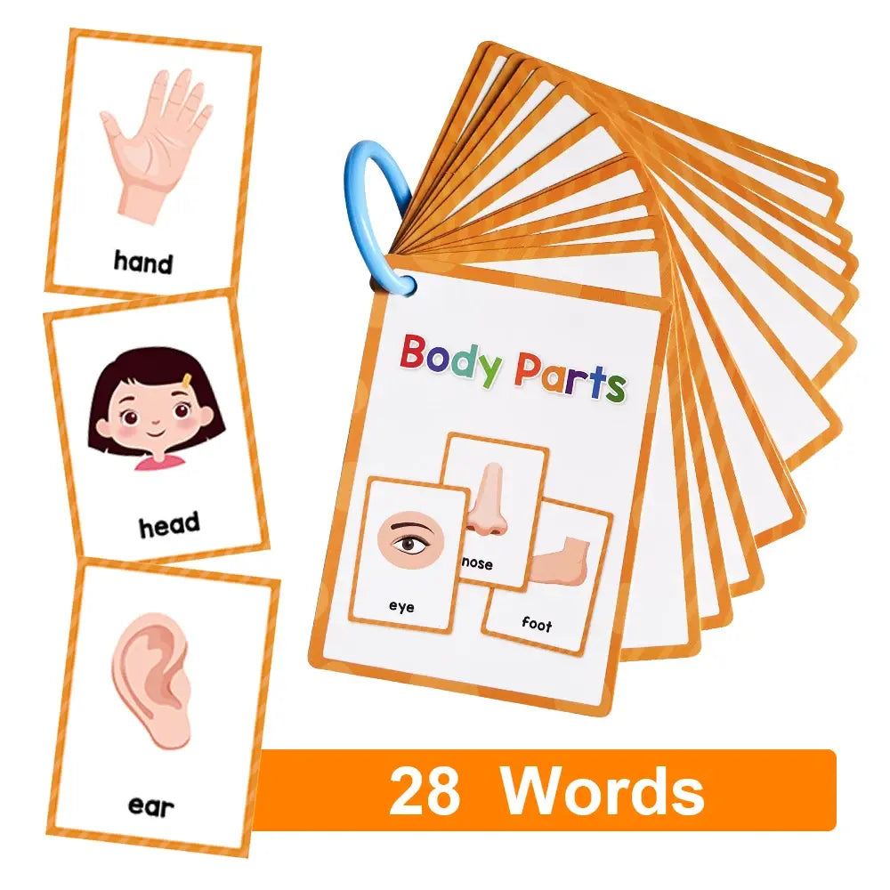 Montessori Kids English Words Learning Flashcards for Early Education