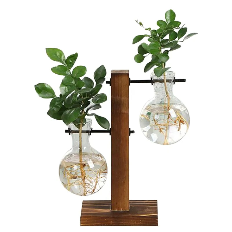 Terrarium Plant Vases - Create Your Miniature Garden Oasis