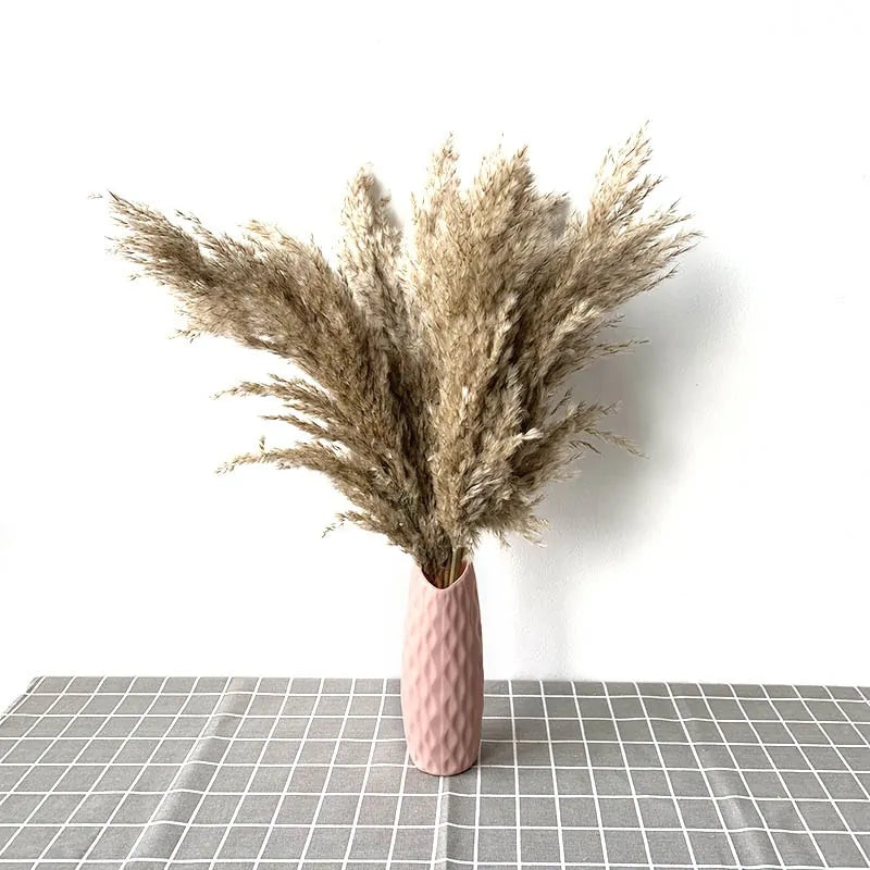 Dried Pampas Grass Home Decor Plant – Elegant Minimalist Natural Accent for Any Room