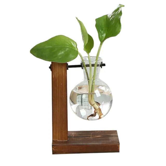 Terrarium Plant Vases - Create Your Miniature Garden Oasis