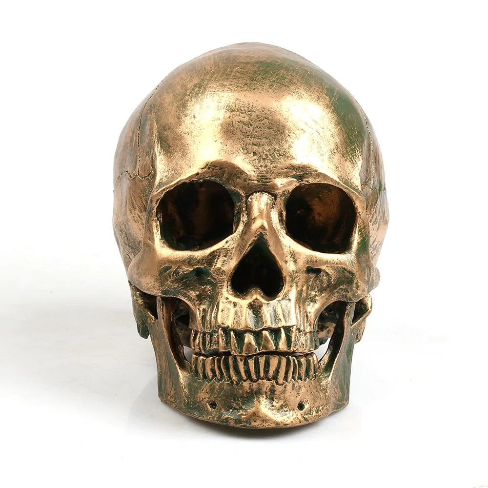 Bronze Resin Skull Model Home Decor – Gothic Art Piece for Unique Interiors
