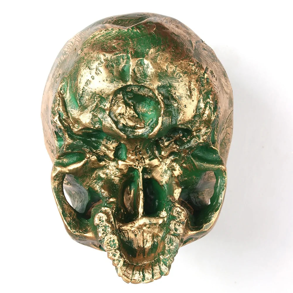 Bronze Resin Skull Model Home Decor – Gothic Art Piece for Unique Interiors