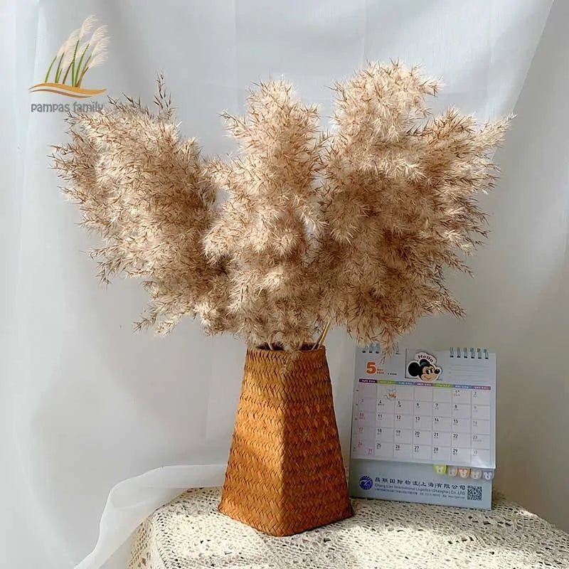 Dried Pampas Grass Home Decor Plant – Elegant Minimalist Natural Accent for Any Room