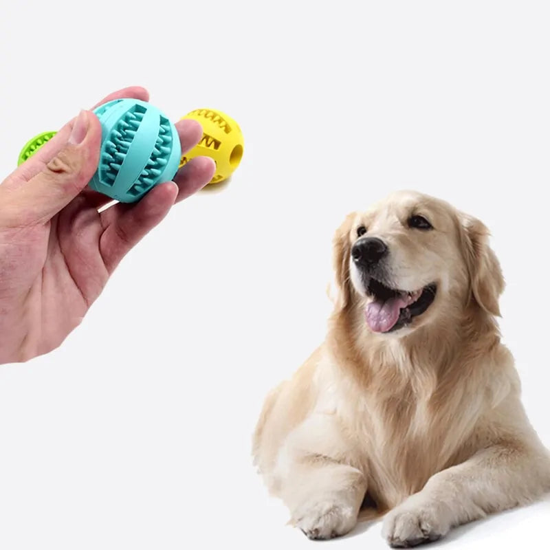 person holding out a Dog Dental Chew Ball to a dog