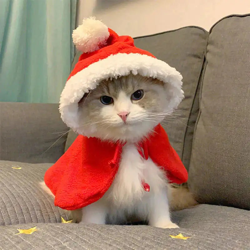 Festive Fur Holiday Attire – Adorable Holiday Pet Costume