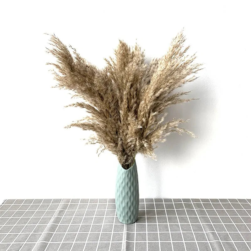 Dried Pampas Grass Home Decor Plant – Elegant Minimalist Natural Accent for Any Room