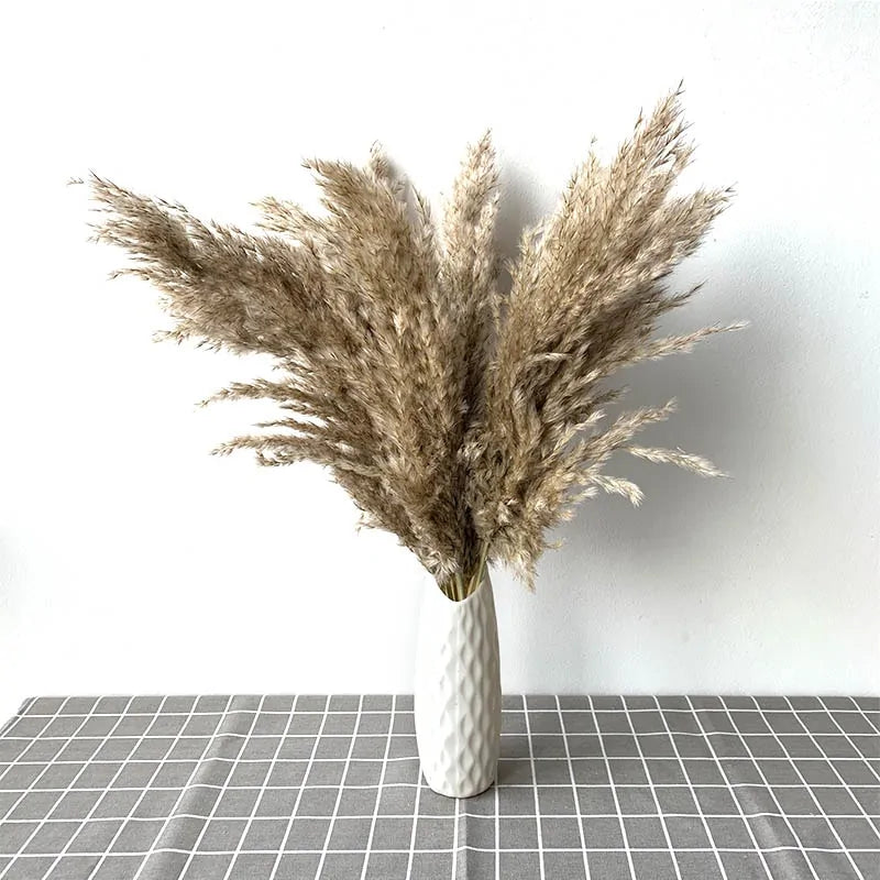 Dried Pampas Grass Home Decor Plant – Elegant Minimalist Natural Accent for Any Room