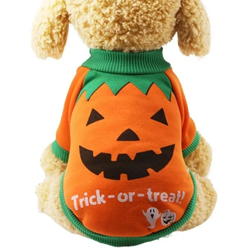 Dog Halloween Costume Set, Pumpkin Design Back View