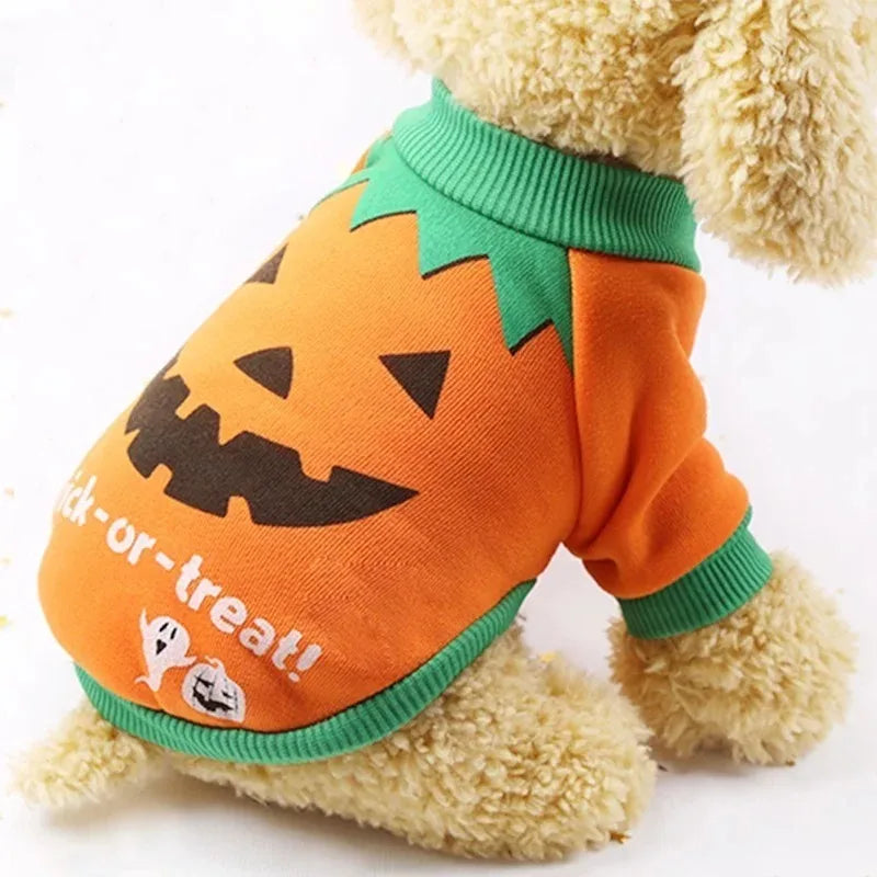 Dog Halloween Costume Set, Pumpkin Design Side View