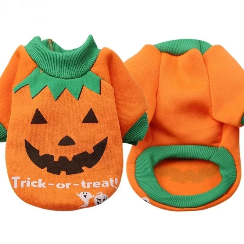Dog Halloween Costume Set, Pumpkin Design Front & Back View
