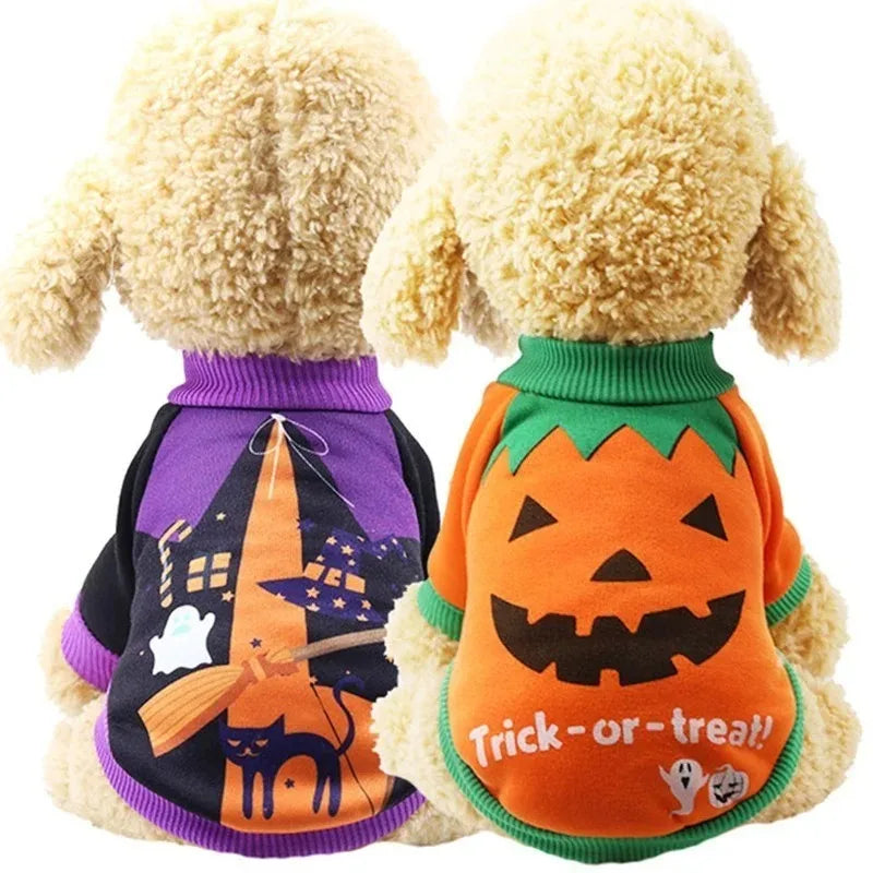 Dog Halloween Costume Set, Witch and Pumpkin Designs