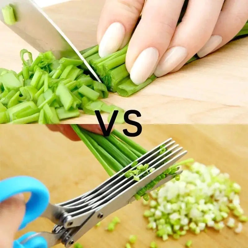knife vs Multi Blade Kitchen Scissors comparison