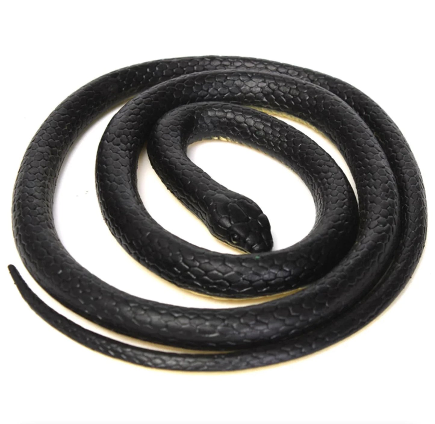 Realistic Rubber Snake, Front View