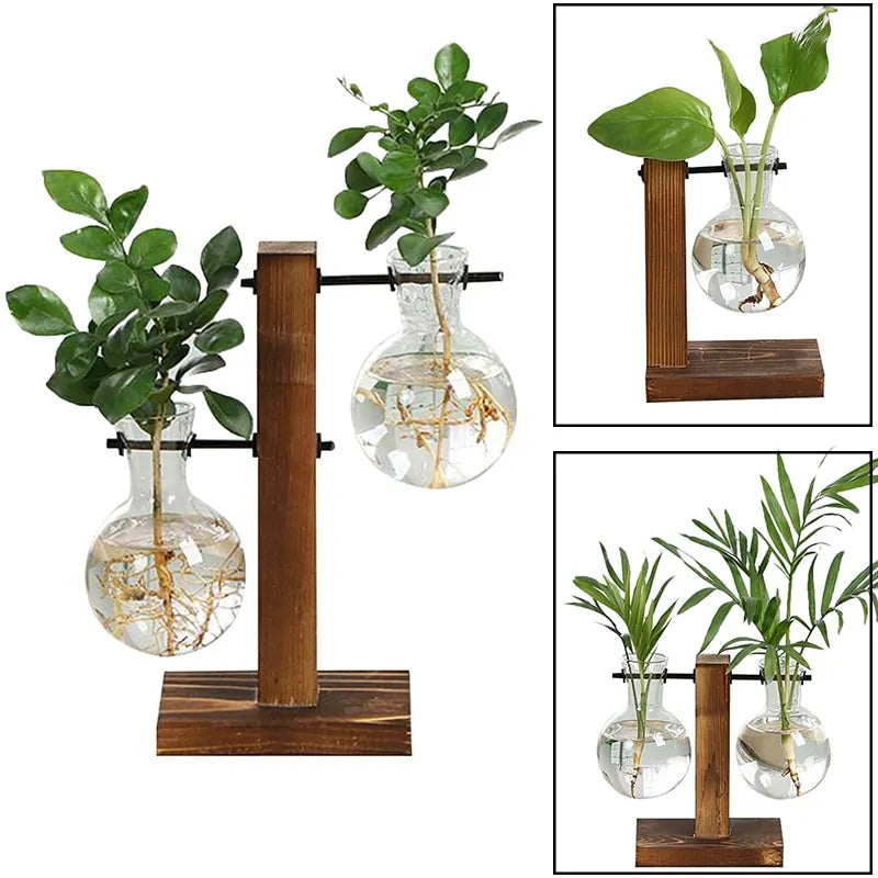 Terrarium Plant Vases - Create Your Miniature Garden Oasis
