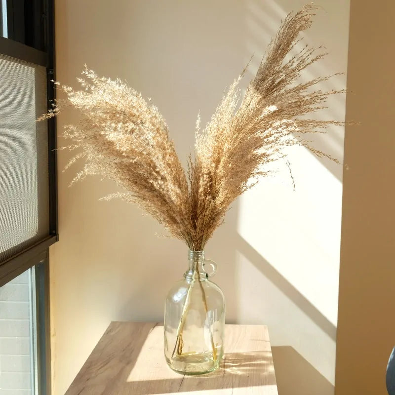 Dried Pampas Grass Home Decor Plant – Elegant Minimalist Natural Accent for Any Room