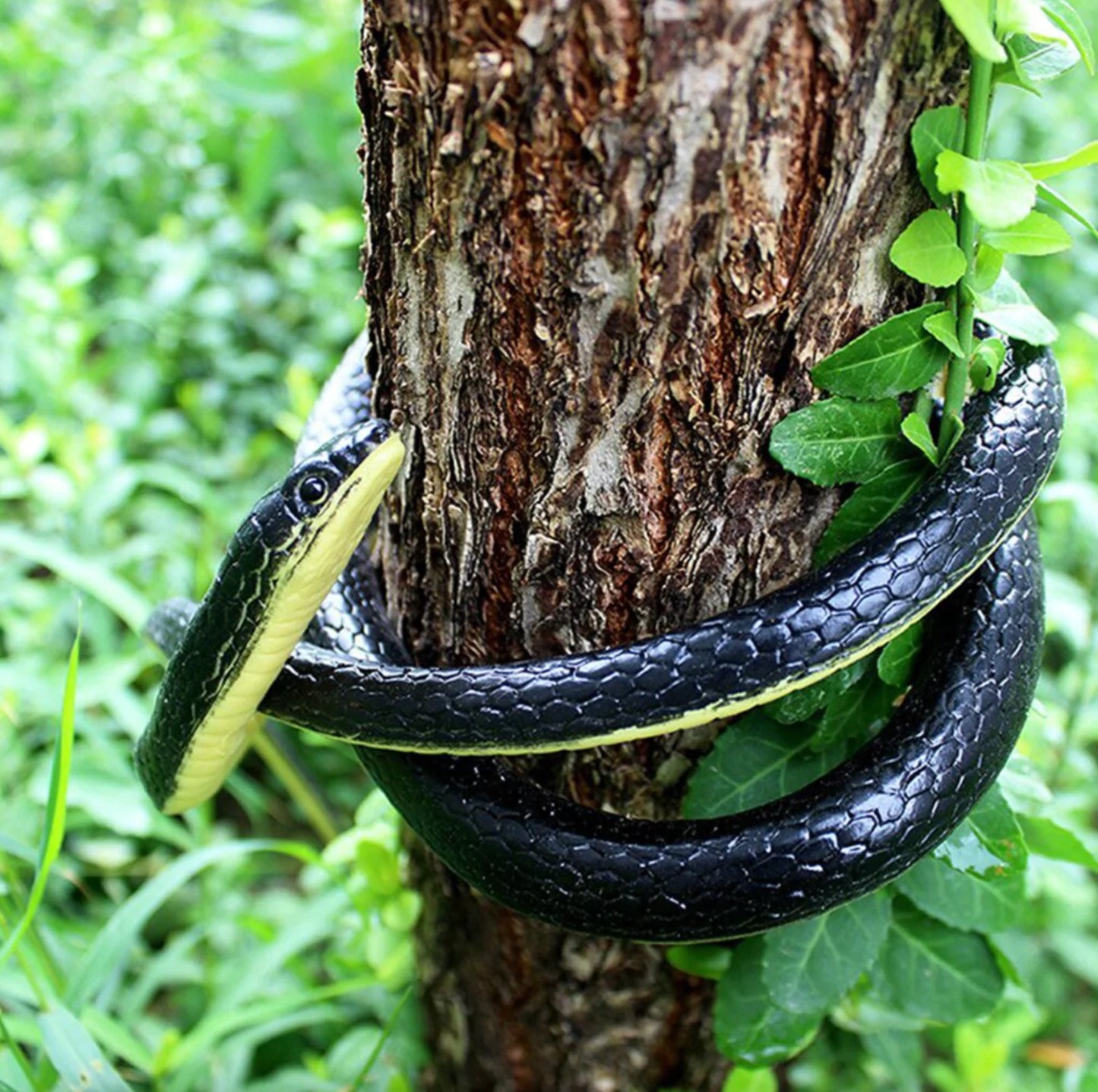 Realistic Rubber Snake wrapped around the tree