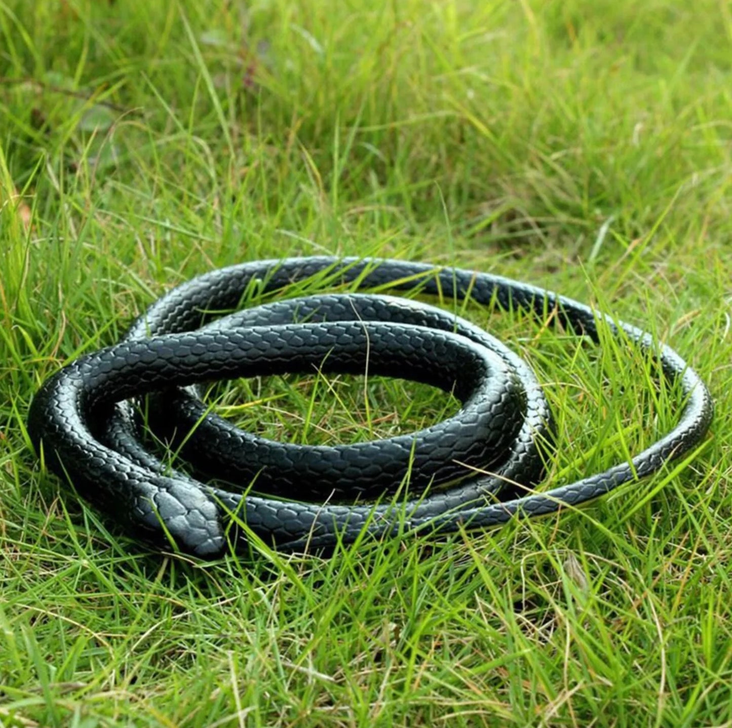 Realistic Rubber Snake, Side View