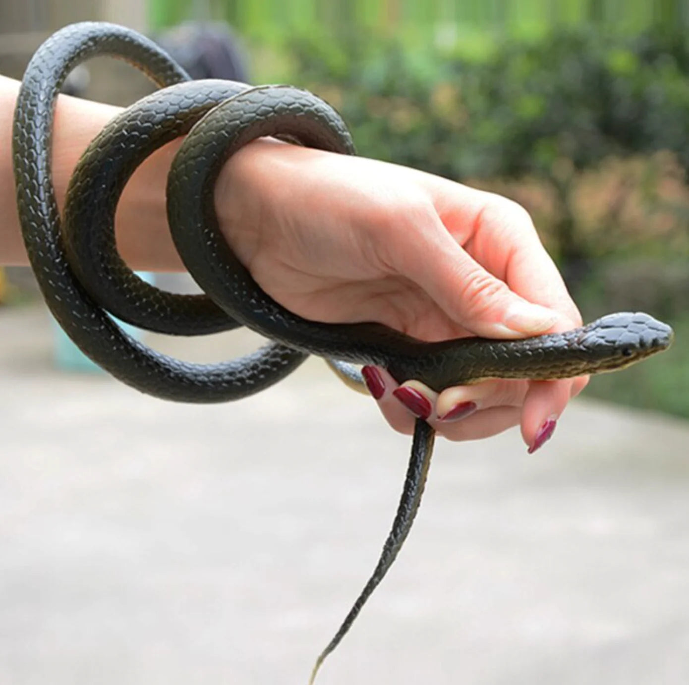 A person holding a Realistic Rubber Snake
