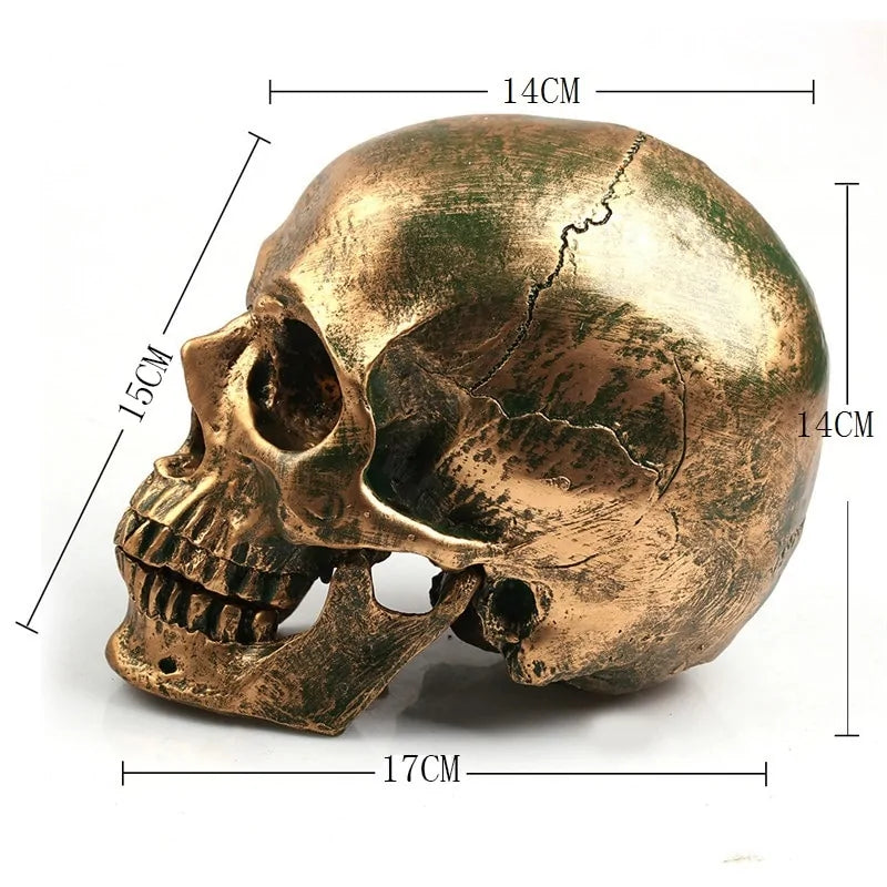 Bronze Resin Skull Model Home Decor – Gothic Art Piece for Unique Interiors
