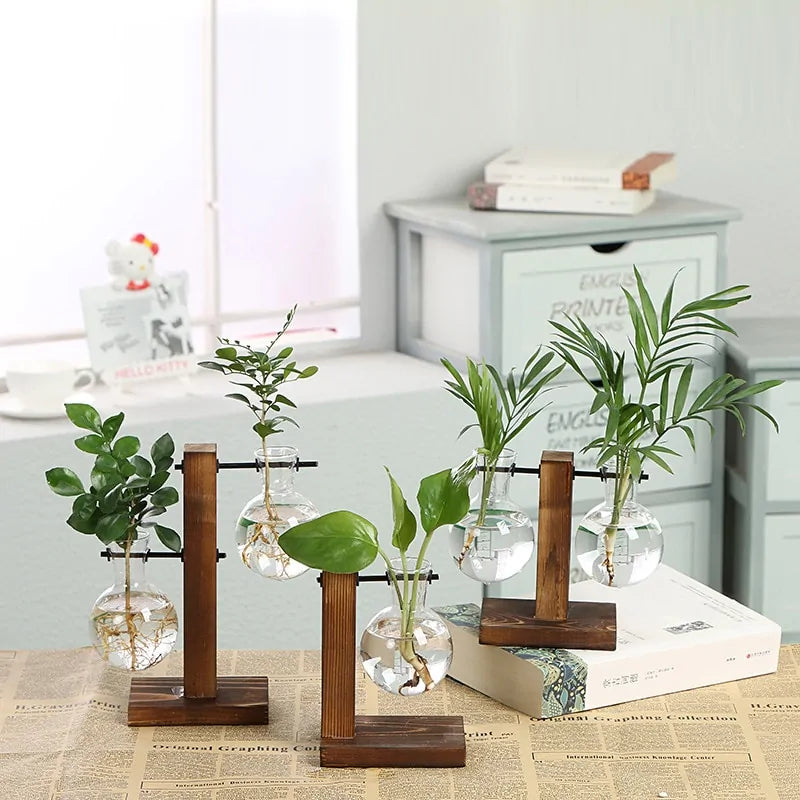 Terrarium Plant Vases - Create Your Miniature Garden Oasis