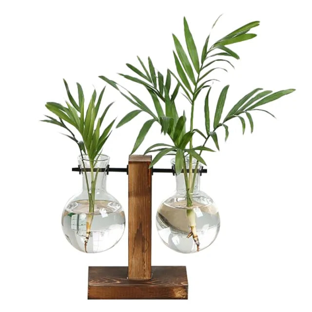 Terrarium Plant Vases - Create Your Miniature Garden Oasis