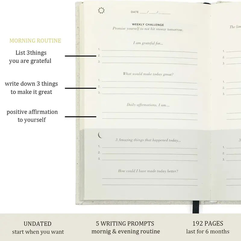 Daily Gratitude Journal, contents and details