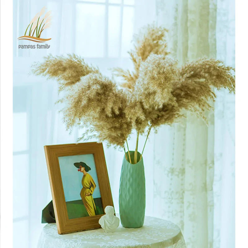 Dried Pampas Grass Home Decor Plant – Elegant Minimalist Natural Accent for Any Room