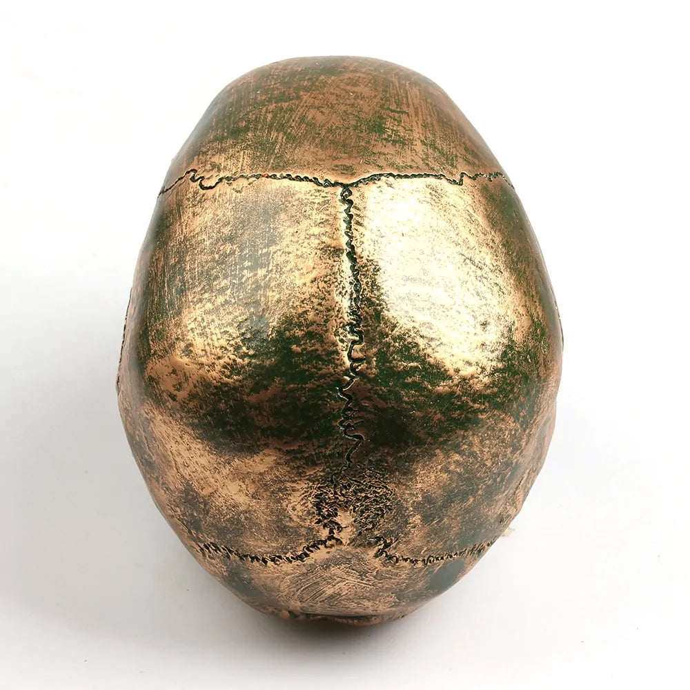 Bronze Resin Skull Model Home Decor – Gothic Art Piece for Unique Interiors