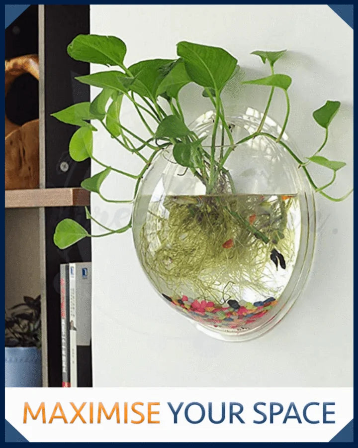 Modern Wall Hanging Bubble Plant Bowl – Stylish Plant Holder for Indoor Greenery