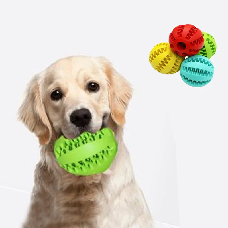 dog biting down on a Dog Dental Chew Ball