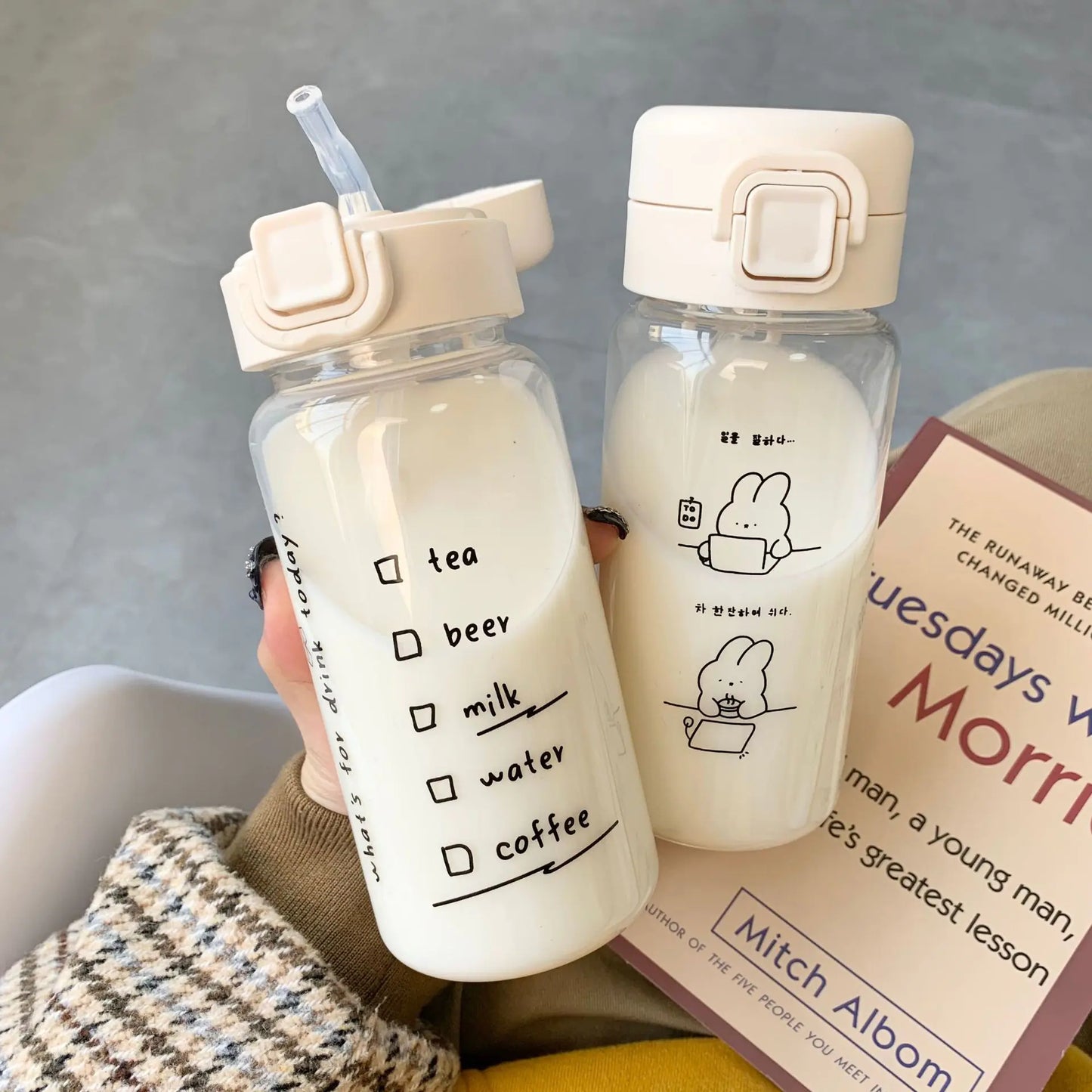 WhimsySip Cartoon Water Bottle with Straw – Cute Leak-proof Drinkware for Milk, Coffee, Tea
