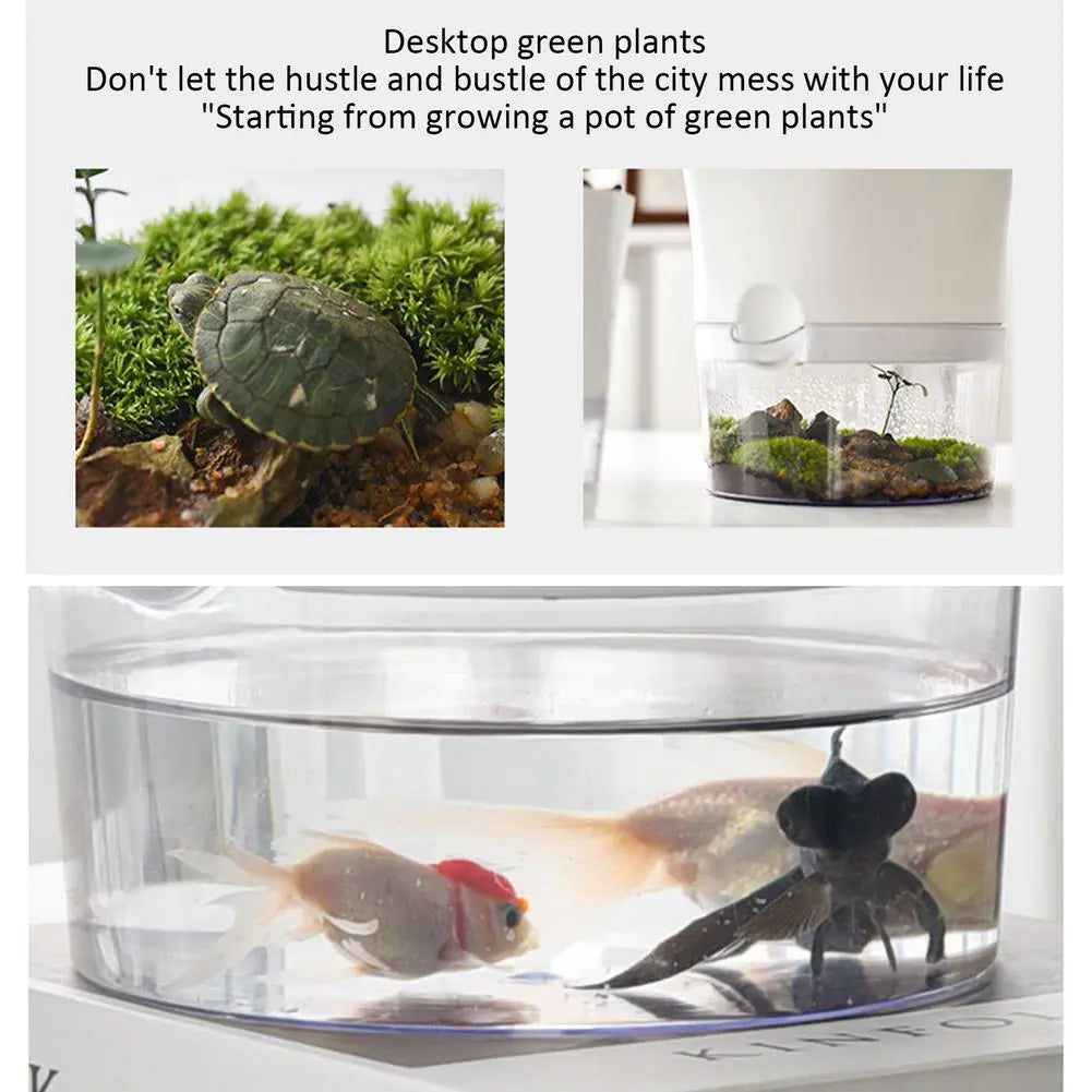 Automatic Water-Absorbing Flowerpot – Smart Self-Watering Planter