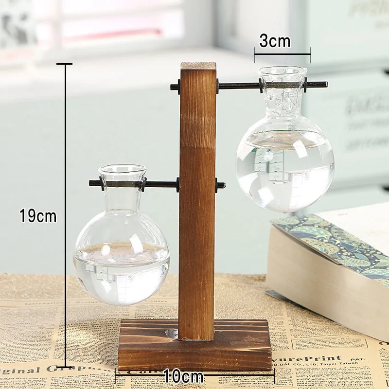 Terrarium Plant Vases - Create Your Miniature Garden Oasis
