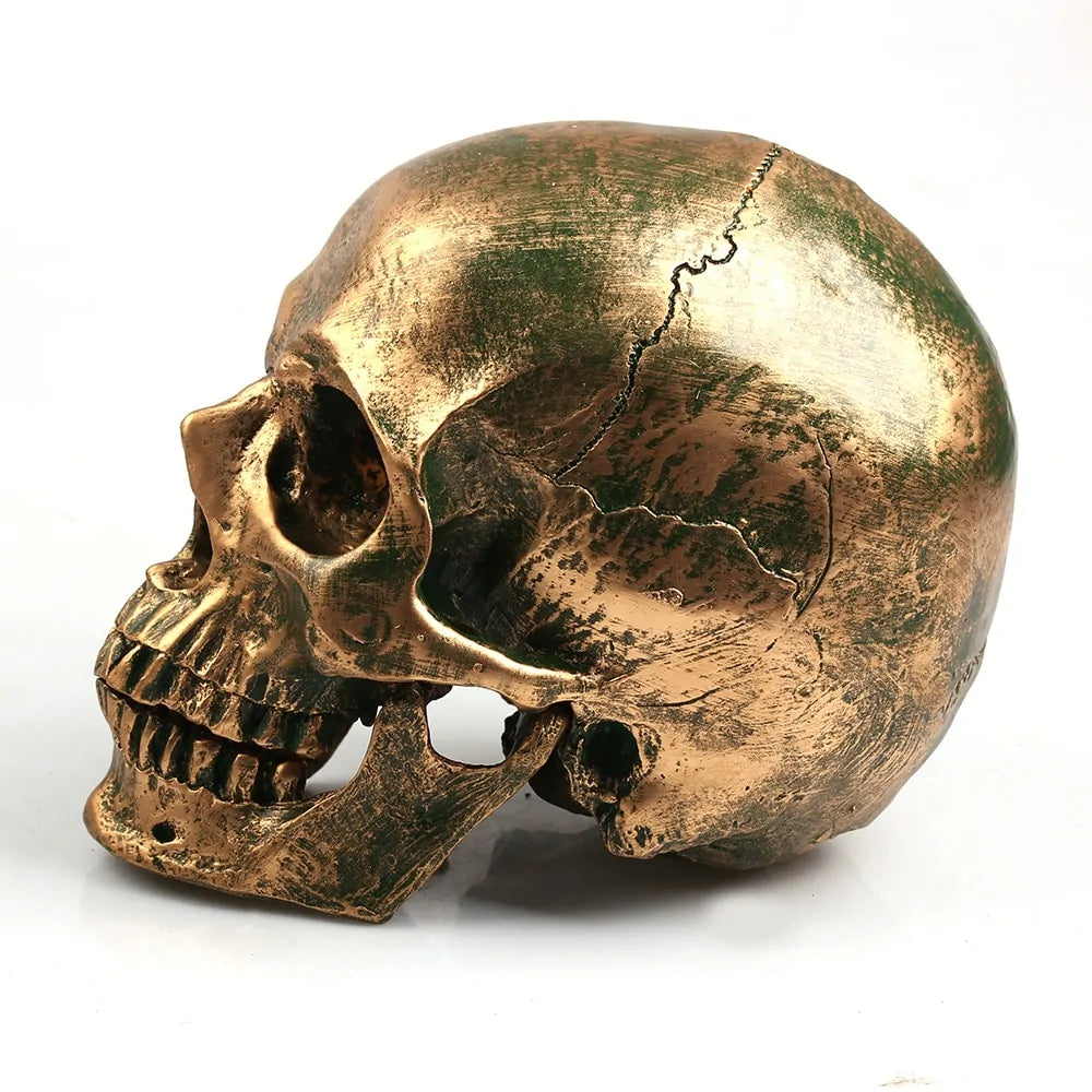 Bronze Resin Skull Model Home Decor – Gothic Art Piece for Unique Interiors